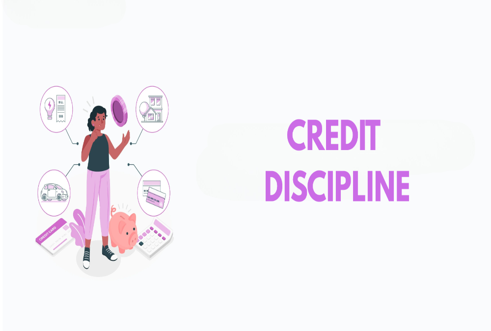 Establish how Nidhi Companies ensures credit discipline.