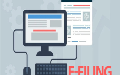 Introduction to Online Filing Portal for Section 8 Companies