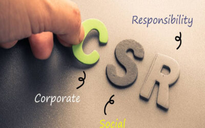 Briefly describe the CSR obligations for Public Limited Companies.