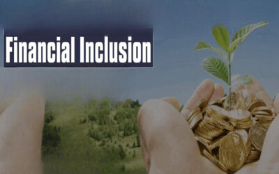 Explain how Nidhi Companies promote financial inclusion in rural areas.