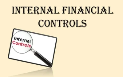 Establish guidelines for internal financial control in Nidhi Firms.