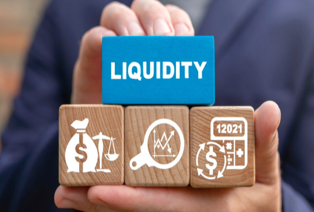 Briefly elaborate on how Nidhi Companies maintains liquidity.