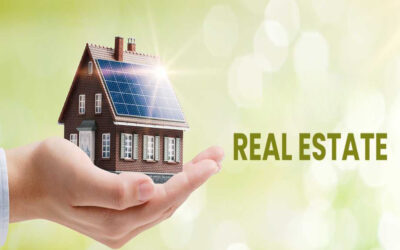 Briefly Discuss Real Estate Holdings by Section 8 Entities