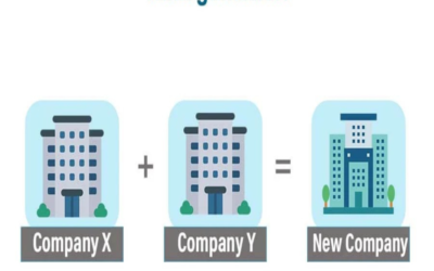 Define the concept of amalgamation in Public Limited Companies.