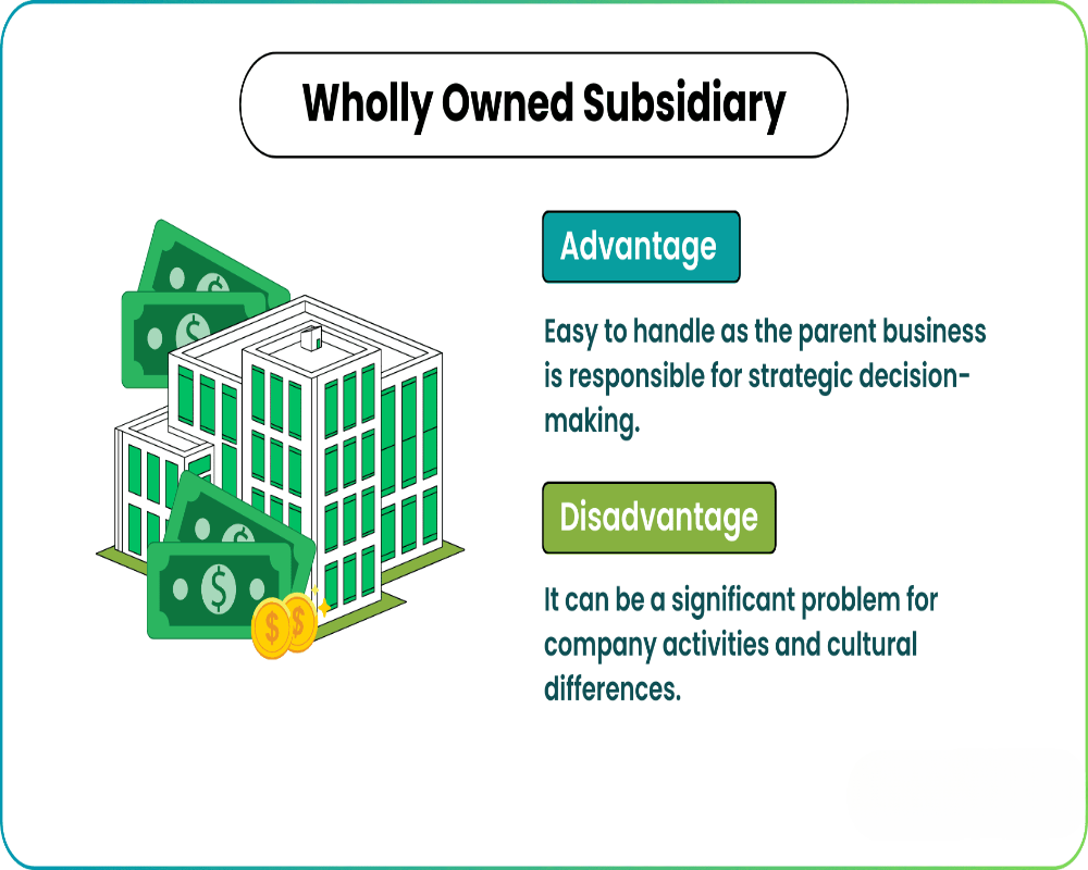 Define wholly owned subsidiaries of Public Limited Companies. Hello Auditor