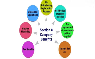 Explain the Benefits of Forming a Section 8 Company