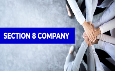 Define Section 8 companies and their connection to Public Limited Companies.