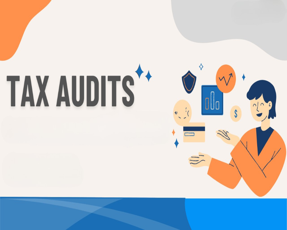 Hello Auditor