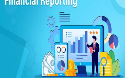 Define Financial Reporting Requirements of Section 8 Company