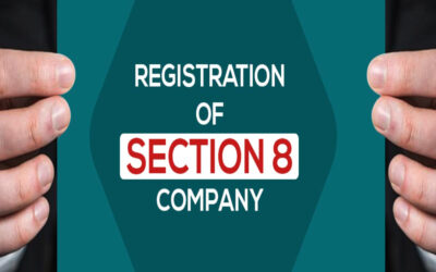 Government Simplifies Section 8 Company Registration Procedure