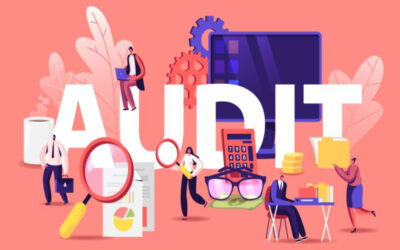 New Audit Norms Introduced for Section 8 Companies