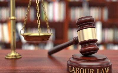 Ministry of Labour Mandates Labour Law Compliance Display for Public Companies