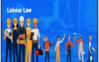 Section 8 Company Staff Now Covered under Labour Law Mandates