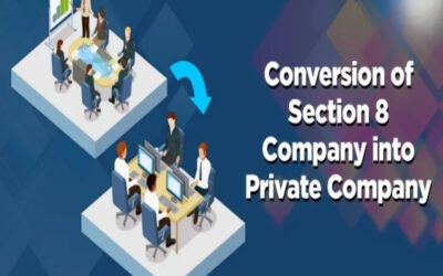 Clarification on Section 8 Conversion into Private Companies