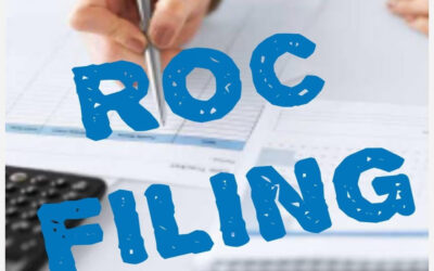 Government Approves Real-Time ROC Filing System for Public Companies