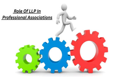 What is the role of LLP in professional associations?