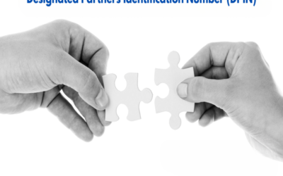 What is the process of obtaining a DPIN?