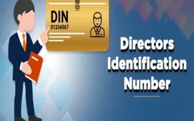 How to obtain DIN for directors of a Section 8 company?