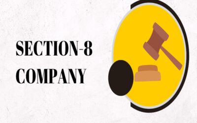 What are the main objectives of a Section 8 company?