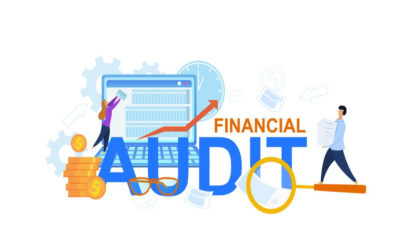How is the financial audit conducted for Public Limited Companies?