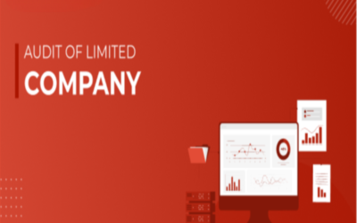 What is the tenure limit for audit firms in Public Limited Companies?