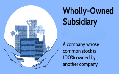Can a Public Limited Company be wholly owned by another company?
