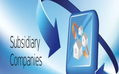 What is a subsidiary Public Limited Company?