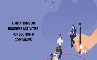 Are there any limitations on business activities for Section 8 companies?