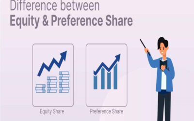 What is the difference between equity and preference shares in a Public Limited Company?