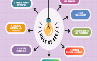 What is the role of a CFO in a Public Limited Company?