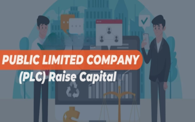 How can a Public Limited Company raise capital?