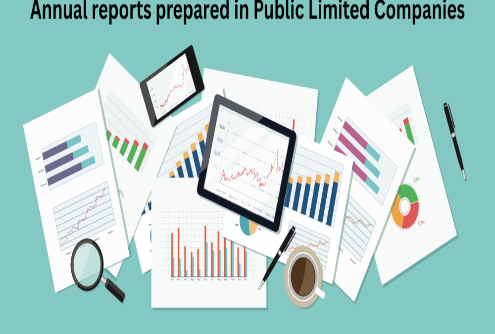 How are annual reports prepared in Public Limited Companies?