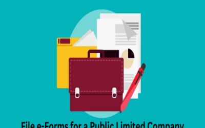 How to file e-Forms for a Public Limited Company?