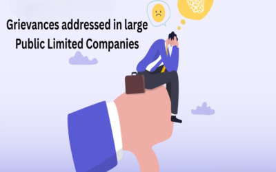 How are grievances addressed in large Public Limited Companies?