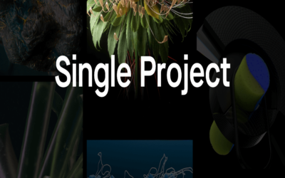 Can an LLP be formed for single project purpose?