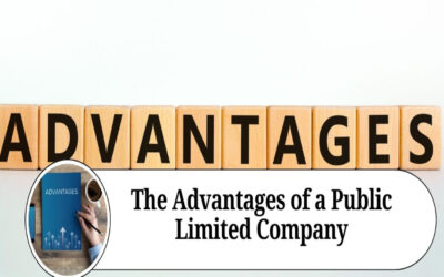 What are the advantages of forming a Public Limited Company in India?
