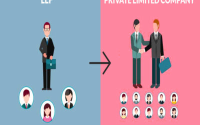 Can LLP own shares in a private company?