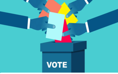 Can a Public Limited Company issue preference shares with voting rights?