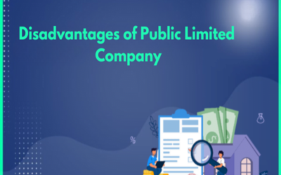 What are the disadvantages of a Public Limited Company?