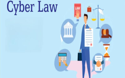 Establish cyber law compliance for digital Nidhi platforms.