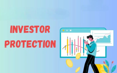 Define the investor protection steps taken by Nidhi Companies.