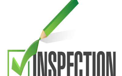 Introduction to common issues in Nidhi inspections.