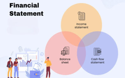 Explain the evaluation of financial statements in Nidhi audits.
