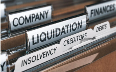 Company Law Tribunal Hears Pleas on Nidhi Company Liquidation