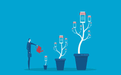 How many branches can a Nidhi Company open?