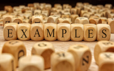 What are some successful examples of Nidhi Companies?