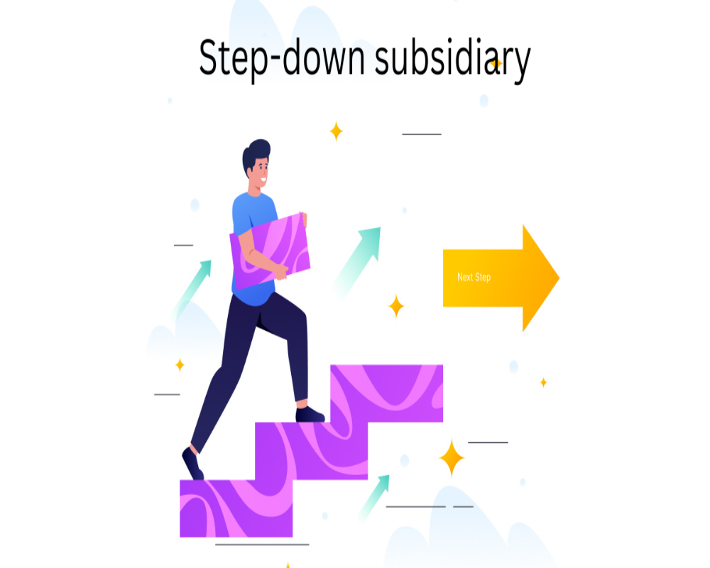 Define the concept of step-down subsidiary Hello Auditor
