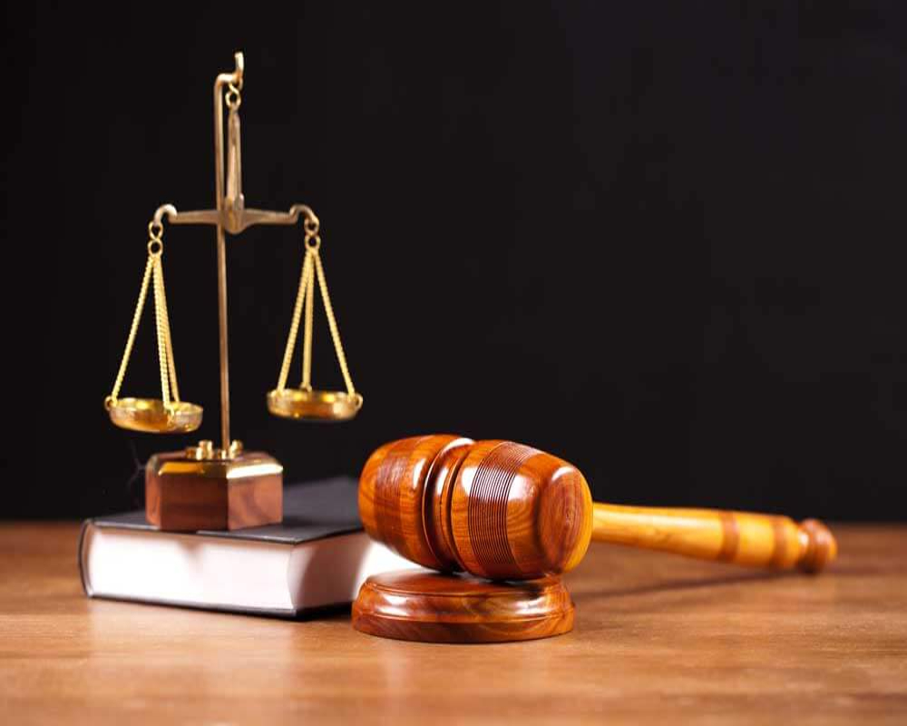 Detail the types of subsidiaries under Indian law Hello Auditor