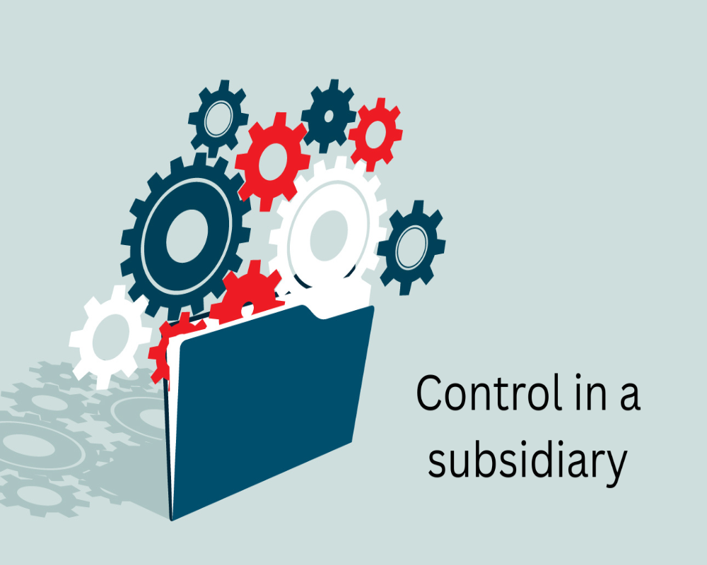 Define the concept of control in a subsidiary - Hello Auditor