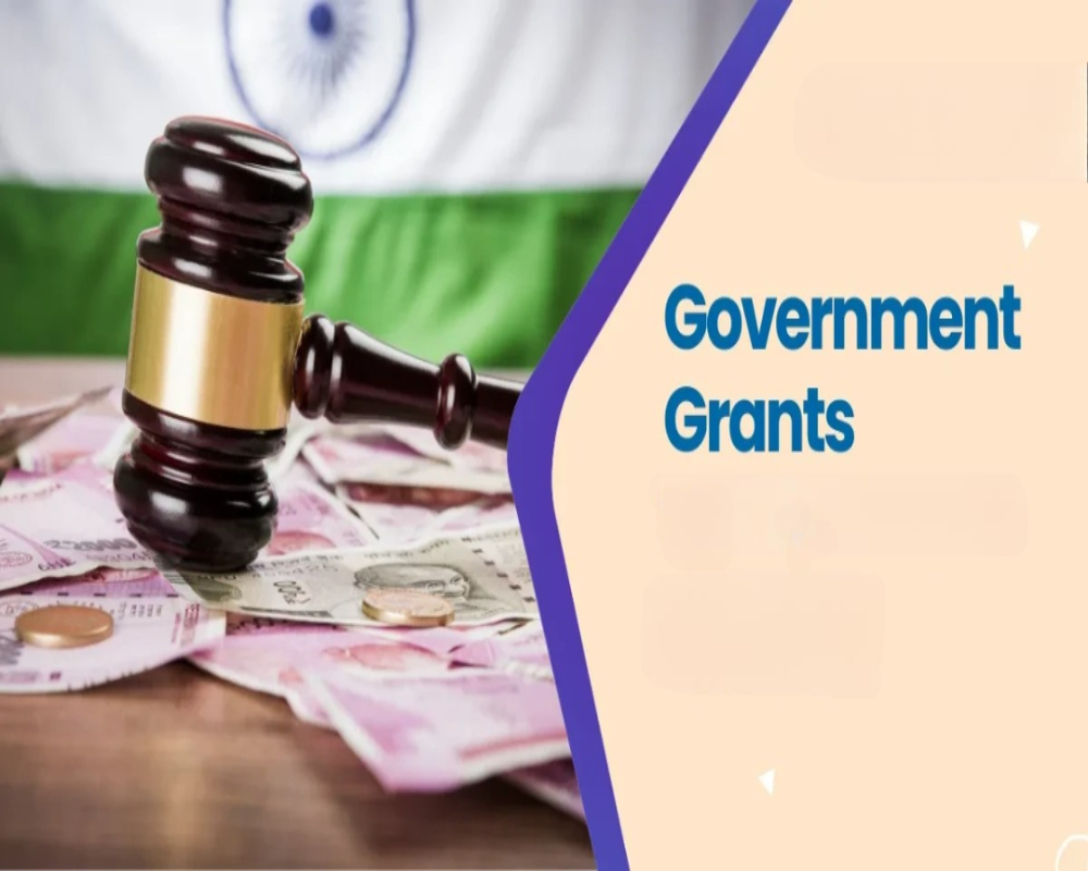 Briefly describe how societies apply for government grants Hello Auditor